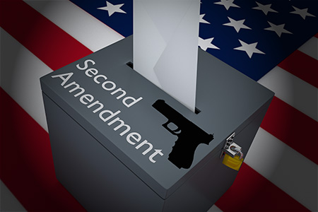 second amendment voting